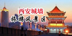 亚洲骚屄中国陕西-西安城墙旅游风景区